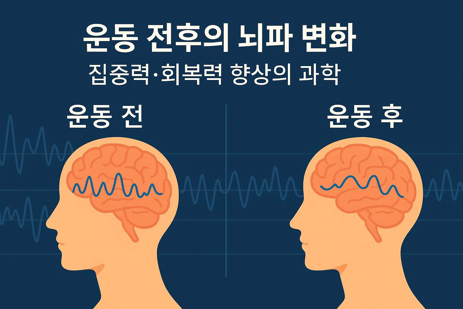 운동 전후의 뇌파 변화|집중력·회복력 향상의 과학
