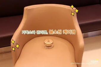 가죽소파 오염 전용클리너와 크림 관리 린트 제거 팁_17