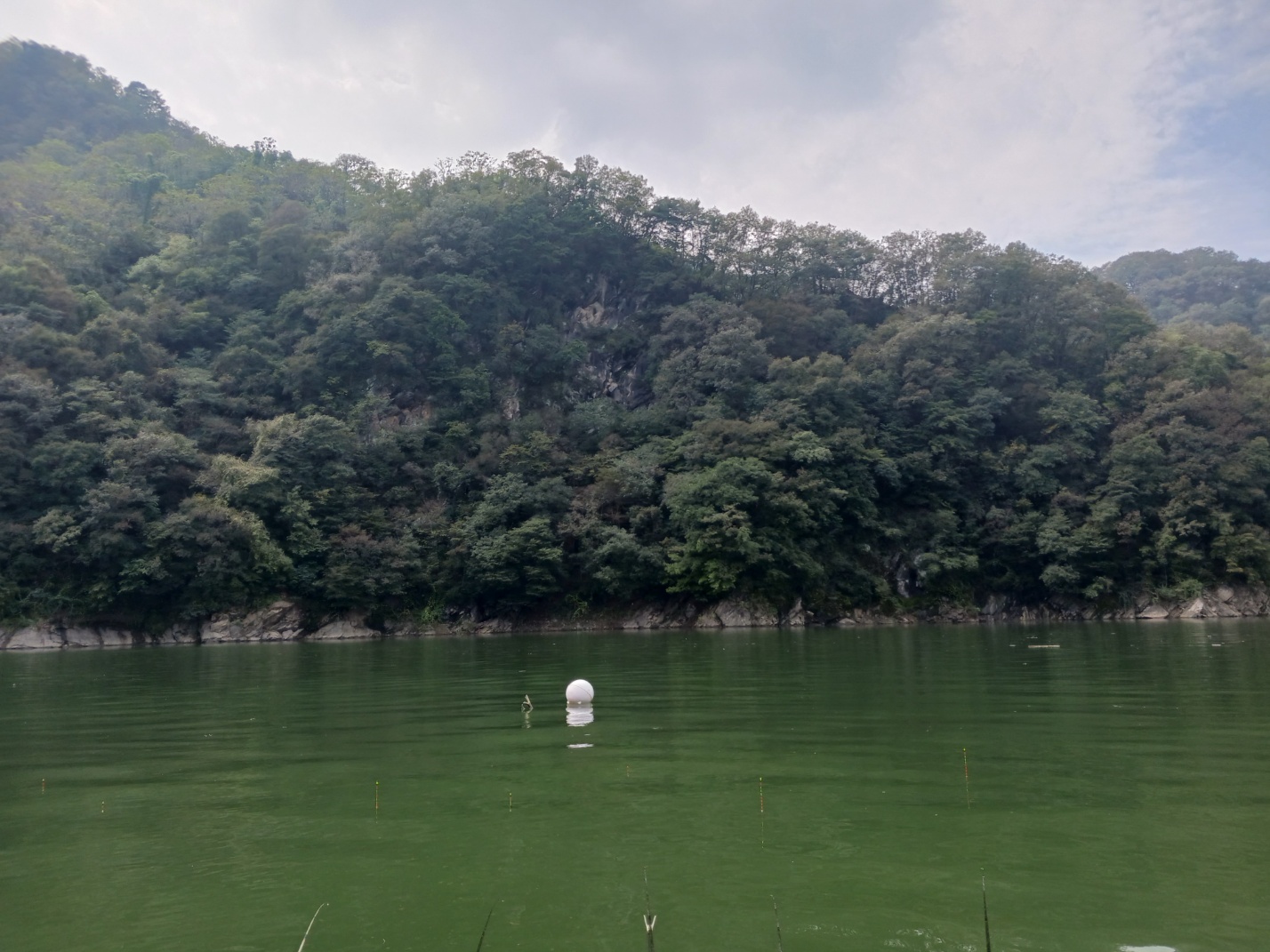 명서낚시터