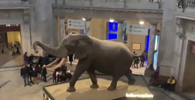 박물관 관련 사진