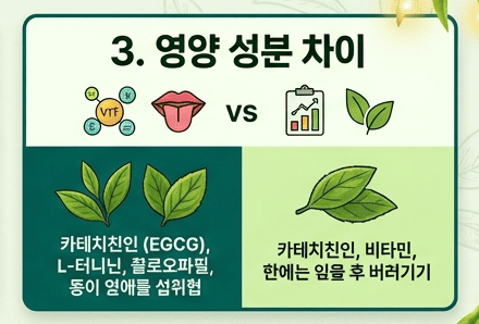 말차 녹차 차이