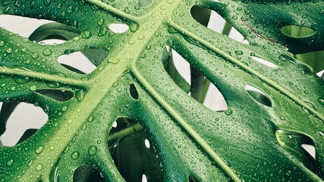 여성농업인 특수건강검진 신청 방법