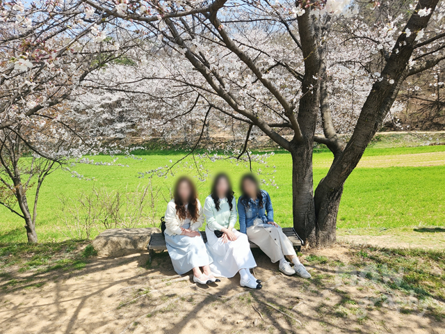 충남-당진-피어라-카페