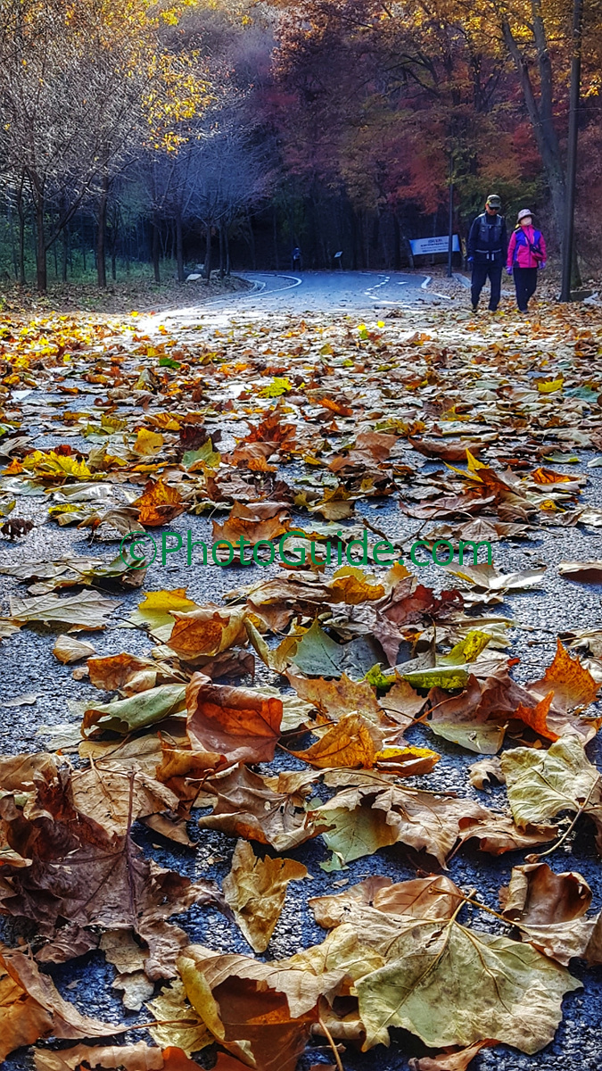 포토가이드 photoguide.com 가을 둘레길