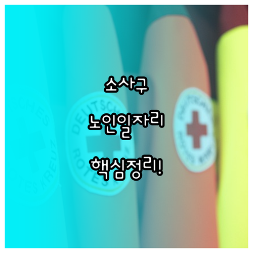 부천시 소사구 노인일자리 모집 유형 ..