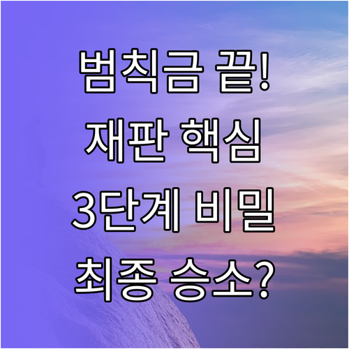 범칙금 이의신청 정식 재판 청구 3단..