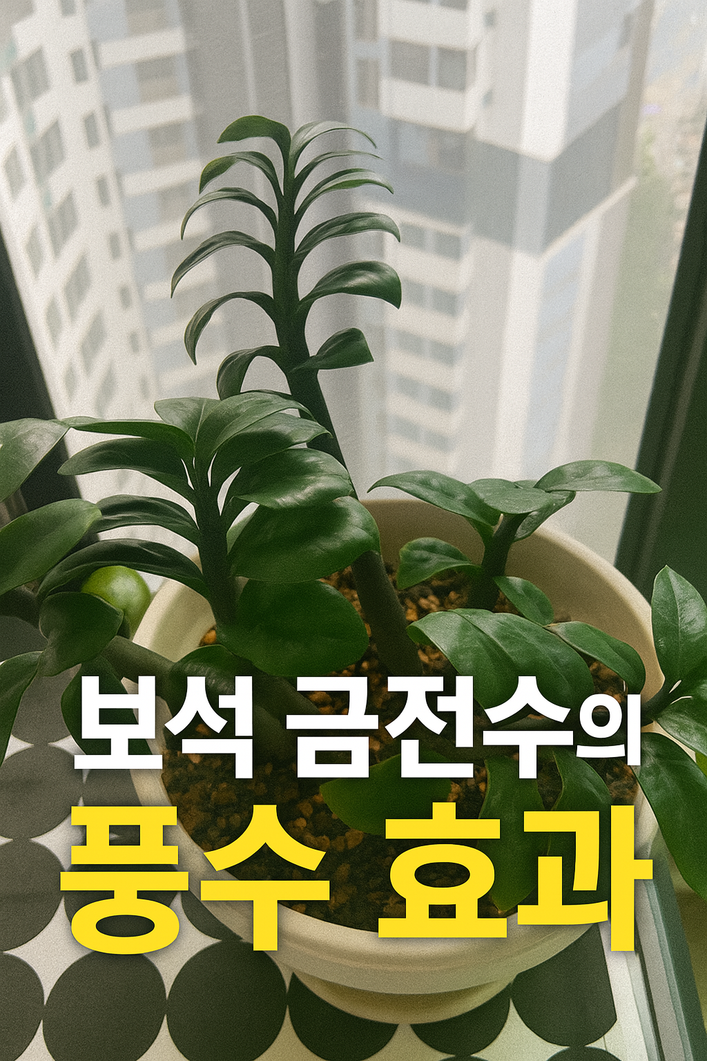 보석 금전수 풍수 효과