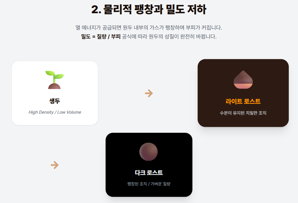 로스팅 진행에 따른 원두의 물리적 팽창과 밀도 저하 인포그래픽