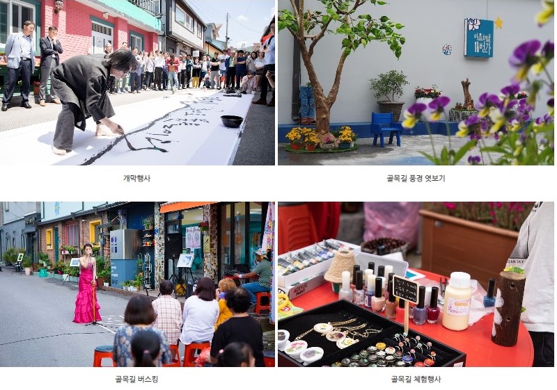 함백산 야생화 축제 고한읍 골목길 박람회