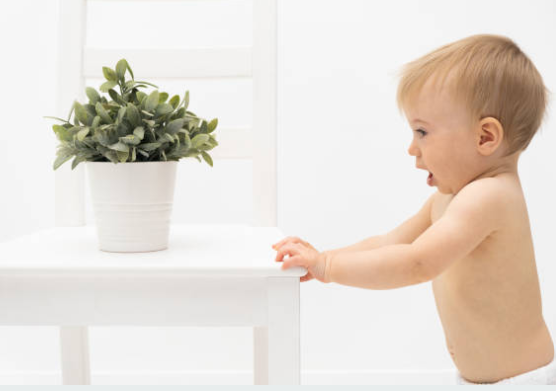 6개월~8개월 성장패턴과 발달