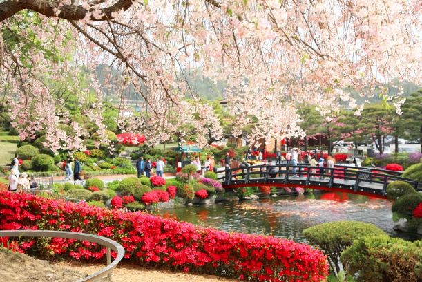 베어트리파트 전경