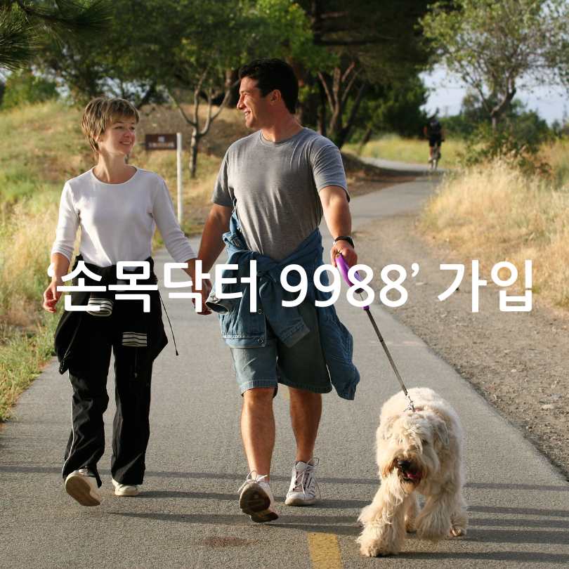 손목닥터 9988 -걷기로 돈벌기