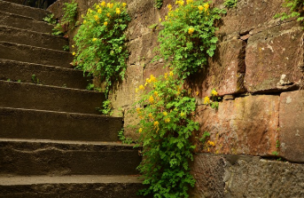 계단오르기 운동효과 정리 5
