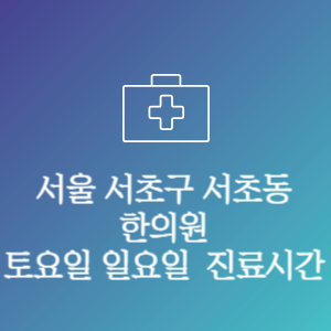 서울 서초구 서초동 한의원 주말 토요일 일요일 문여는 병원 진료시간