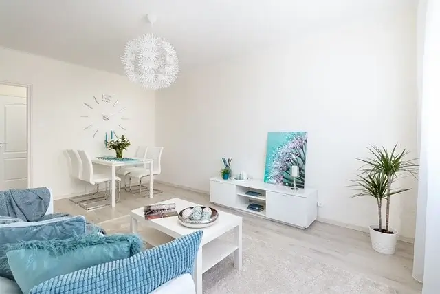 거실화분 인테리어 추천 배치