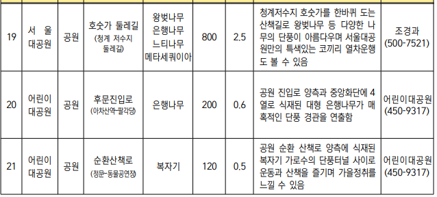 서울 단풍길 99선 소개