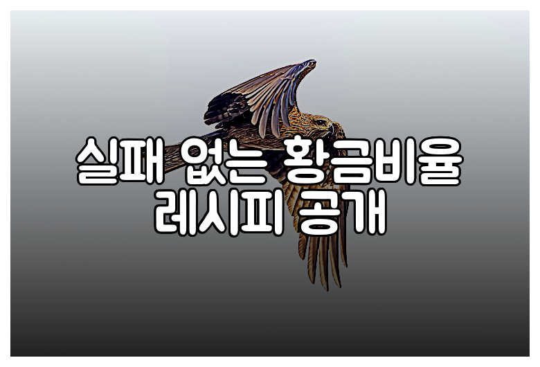 실패 없는 황금비율 레시피 공개