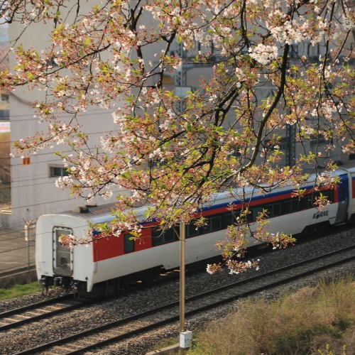 경기도 청소년 교통비 신청 혜택