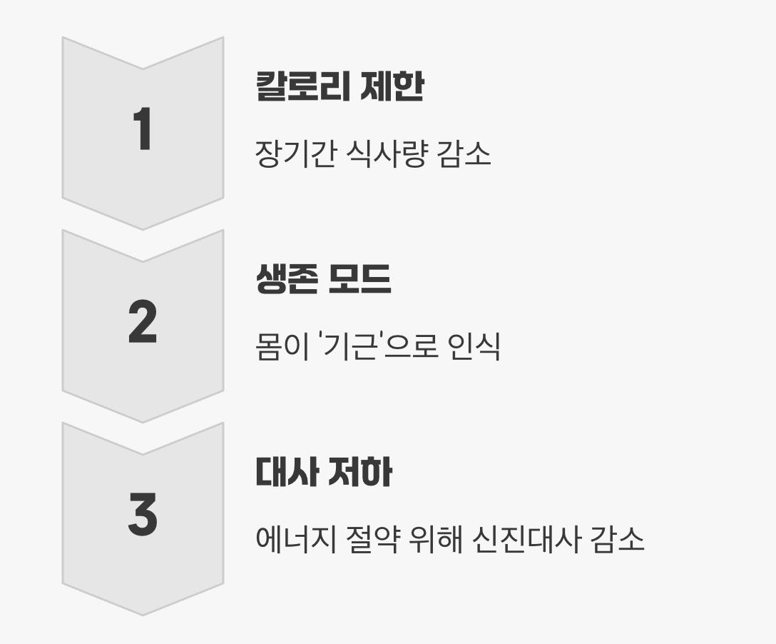 멈춰버린 체중계, 우리 몸의 '비상 모드'
