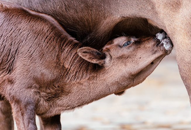 오늘의 운세 10월 26일