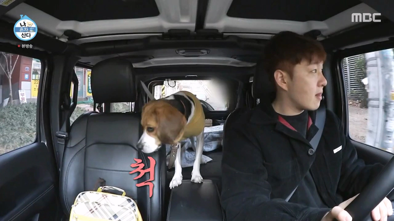 이창섭 집 나혼산 및 이창섭 차 종류 프로필 인스타그램 