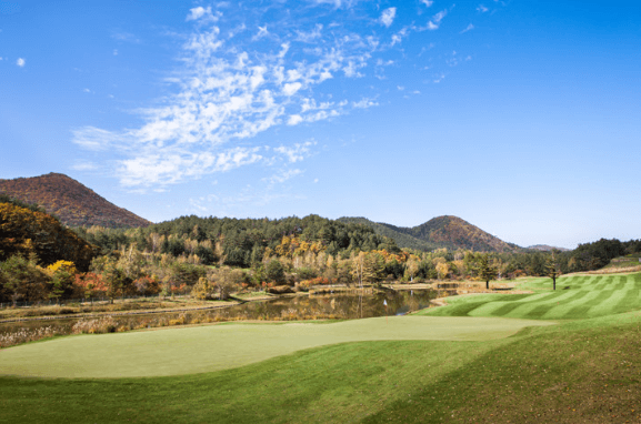 2025 KLPGA 맥콜 · 모나 용평 오픈 총정리|무료 티켓·주차장·조편성·관전포인트까지