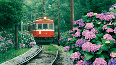 도쿄-근교-여행지-가마쿠라-에노시마-요코하마-하코네-이즈-닛코-카와고에-스이카-애플페이-일본-체크-카드-돈키호테-할인쿠폰