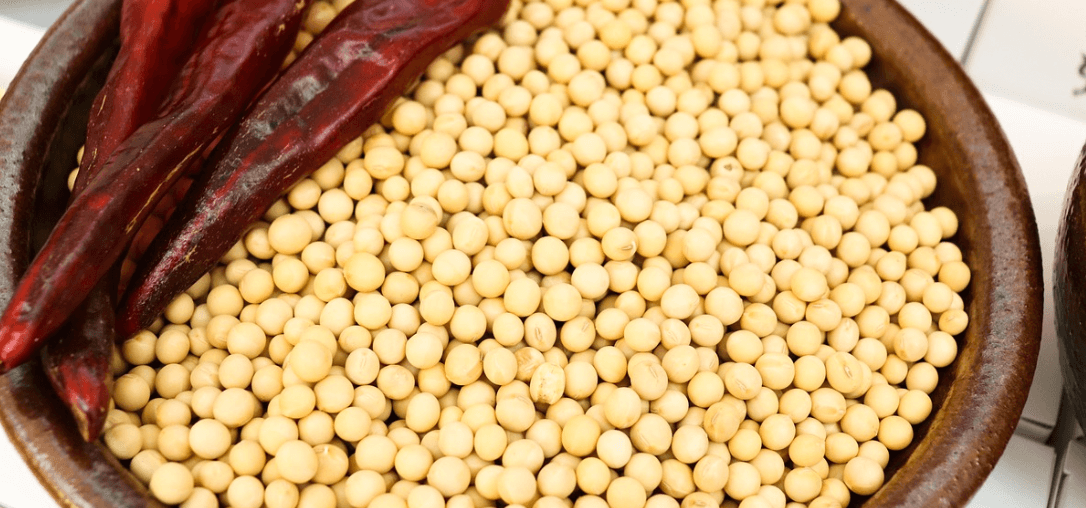 된장과 된장찌게 사진 - 8