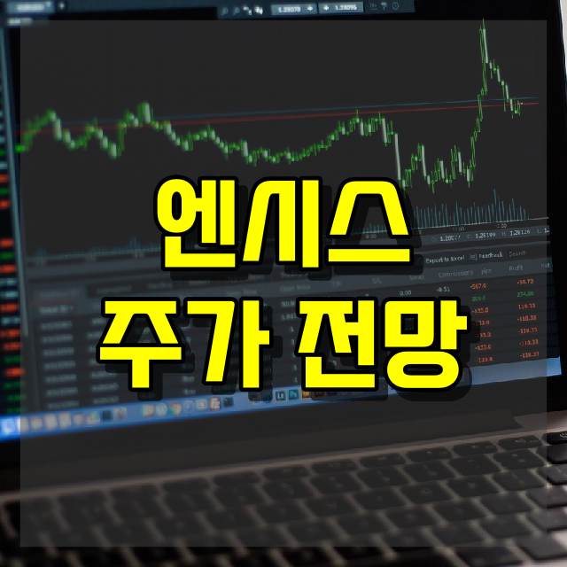 엔시스 주가 전망