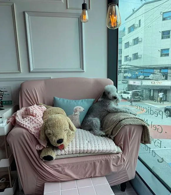 원더네일