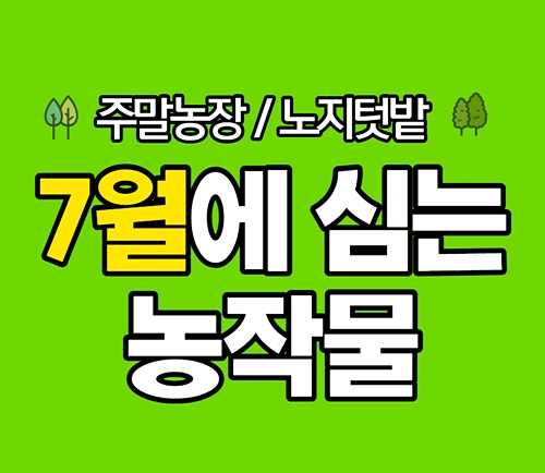7월에 심는 작물