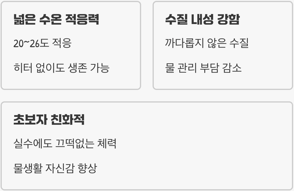 어떤 환경에서도 살아남는 강인함