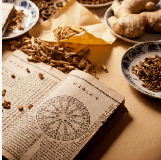 공진단 가격 효능 복용방법 부작용 총정리