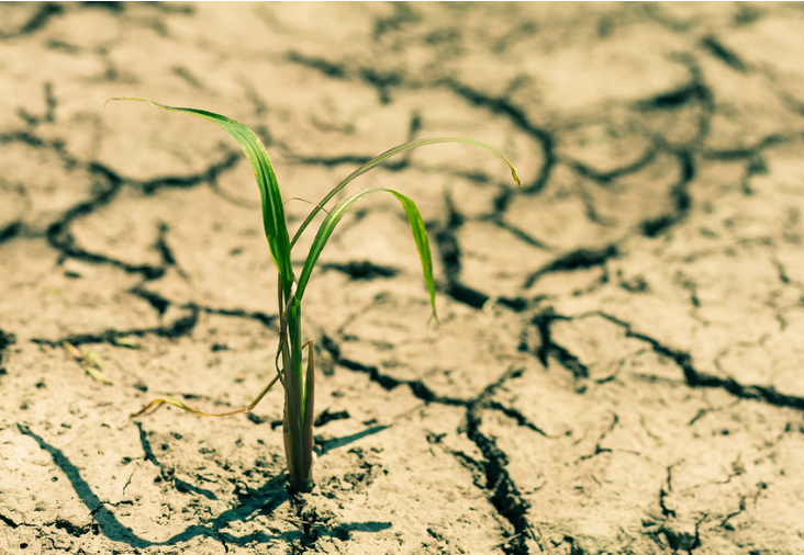 기후관련 이미지