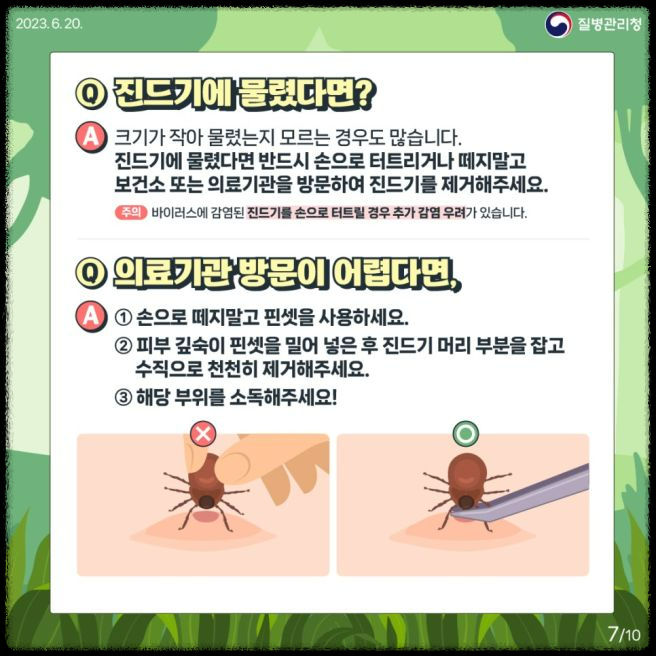 가을철 진드기 감염병 주의보: 예방 방법과 대처 요령