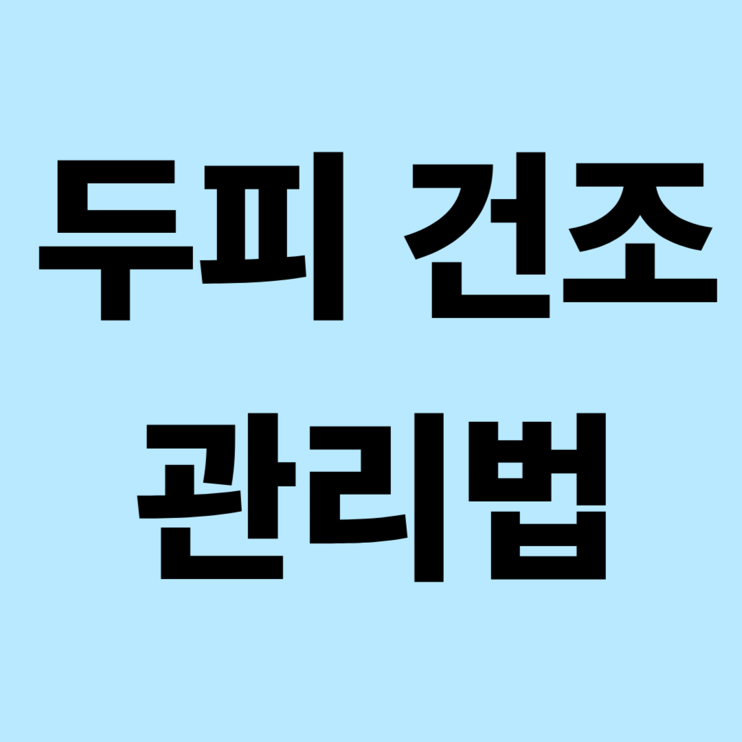 두피 건조 관리 방법|각질·가려움의 시작은 ‘수분 부족’입니다