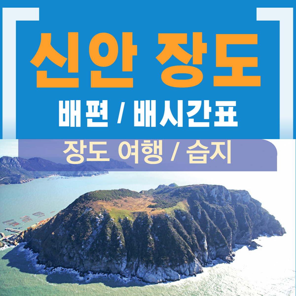 신안 장도 여행(장도습지)