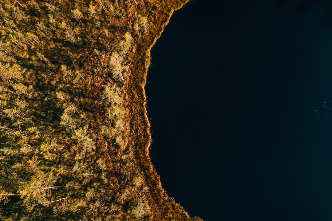 Geospatial