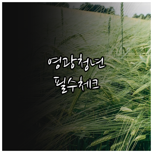 2026 영광군 청년월세 신청 자격과..