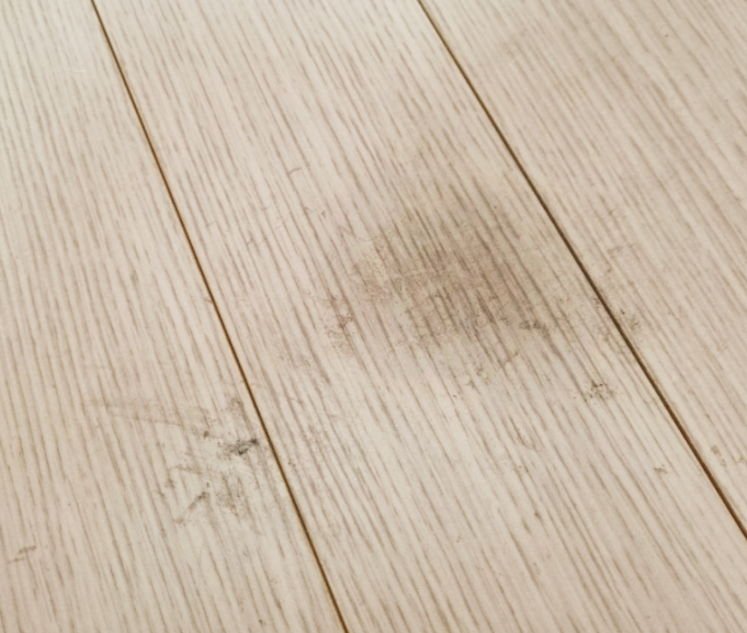 바닥에 끈끈이가 붙어있는 모습