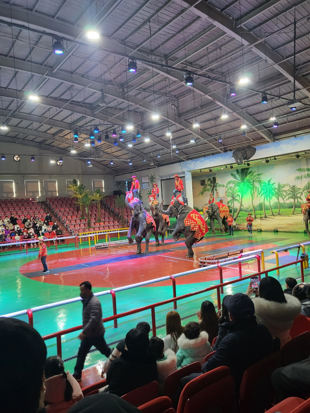 제주도 아이와가볼만한곳, 점보빌리지