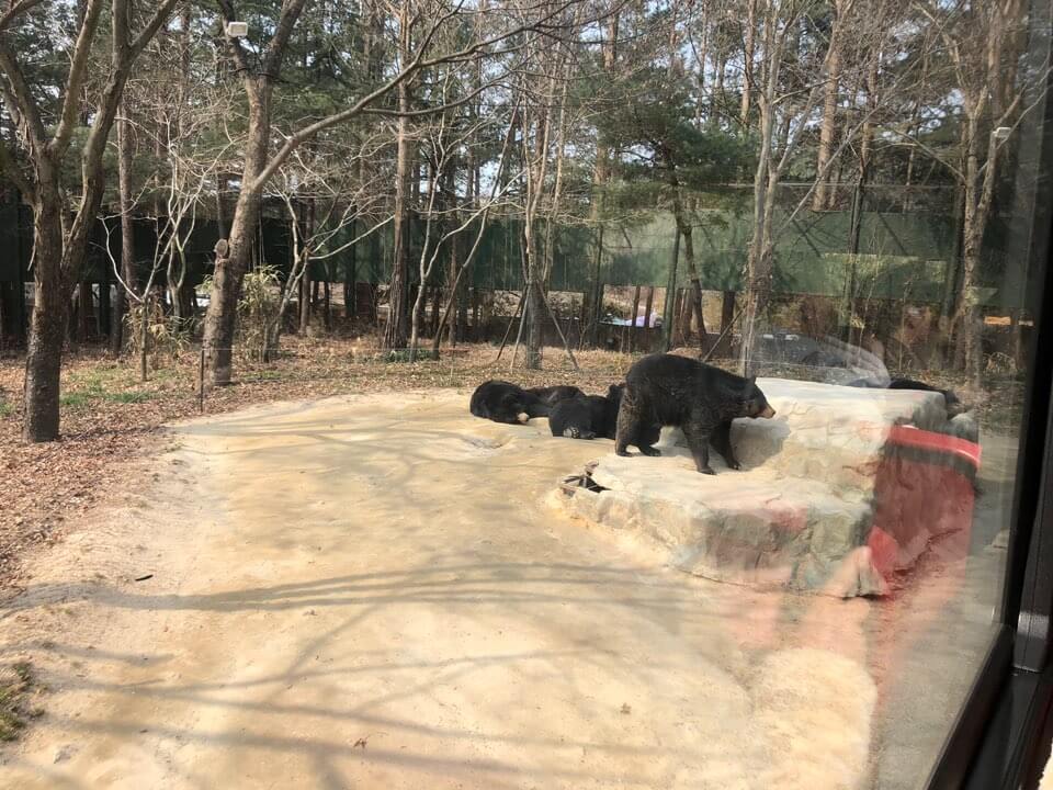 오월드 입장료