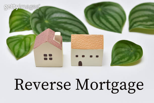 우대형 주택연금