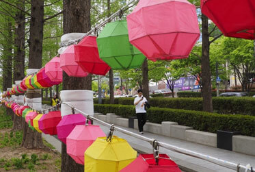 부산연등회 2026