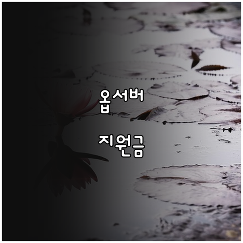 2025년 원양선사必 옵서버 승선 지..