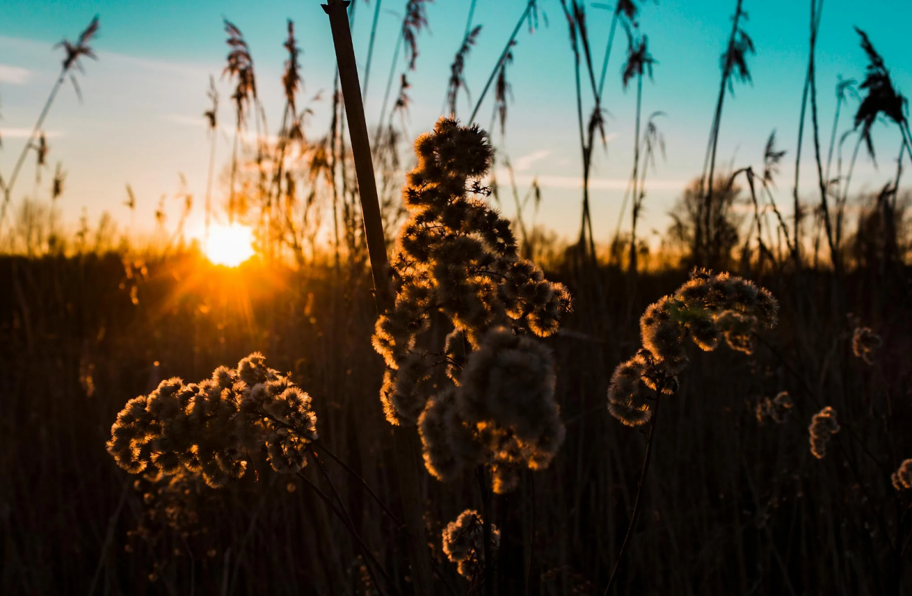 마흔, 아무것도 없어도 다시 시작할 수 있다
