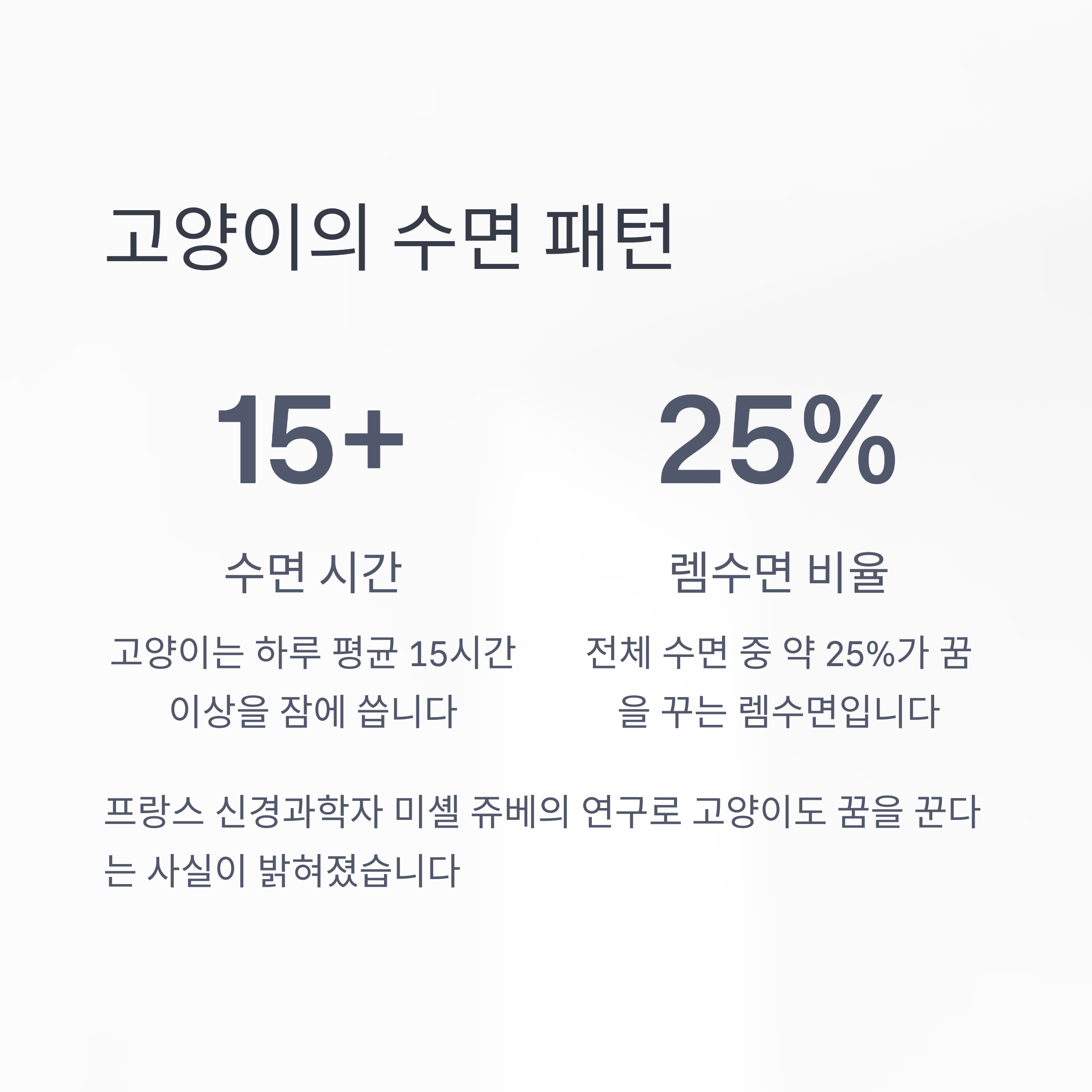 고양이의 수면 패턴