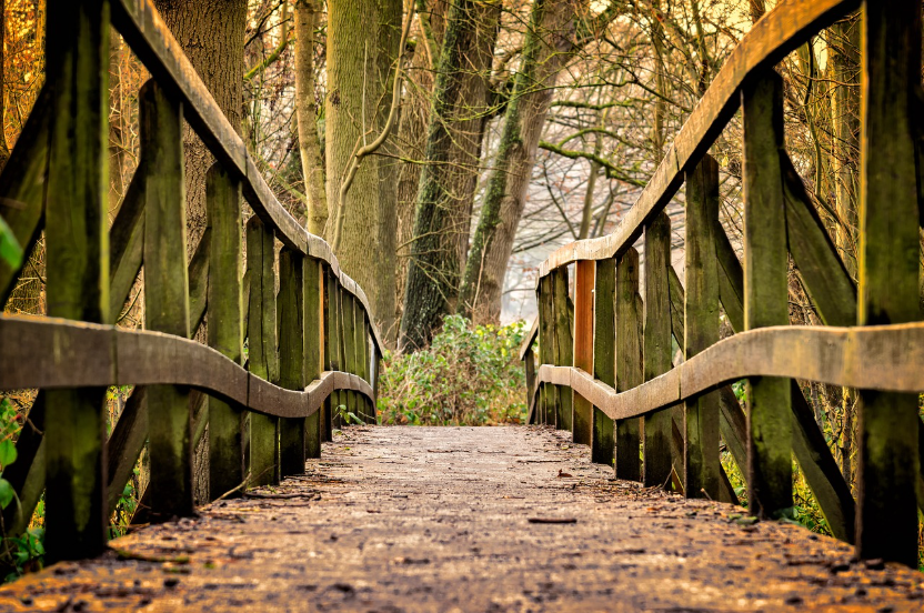 목재 표면과 채광의 상관관계