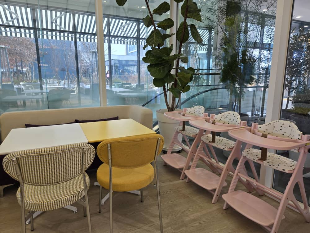 송도 웁스어데이지