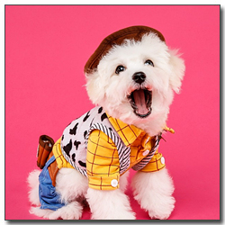 ๋ชจ์์ด ๋น์ํ๋ฆฌ์ 